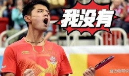 张继科视频爆料最新,体育界背后的惊人真相